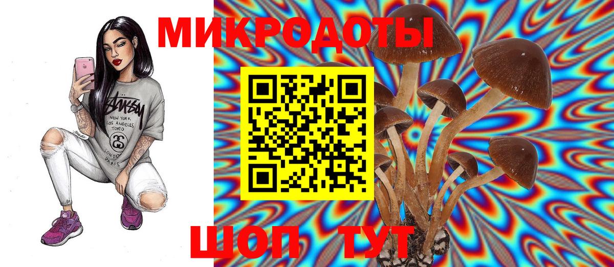 Псилоцибиновые грибы Cubensis Химки