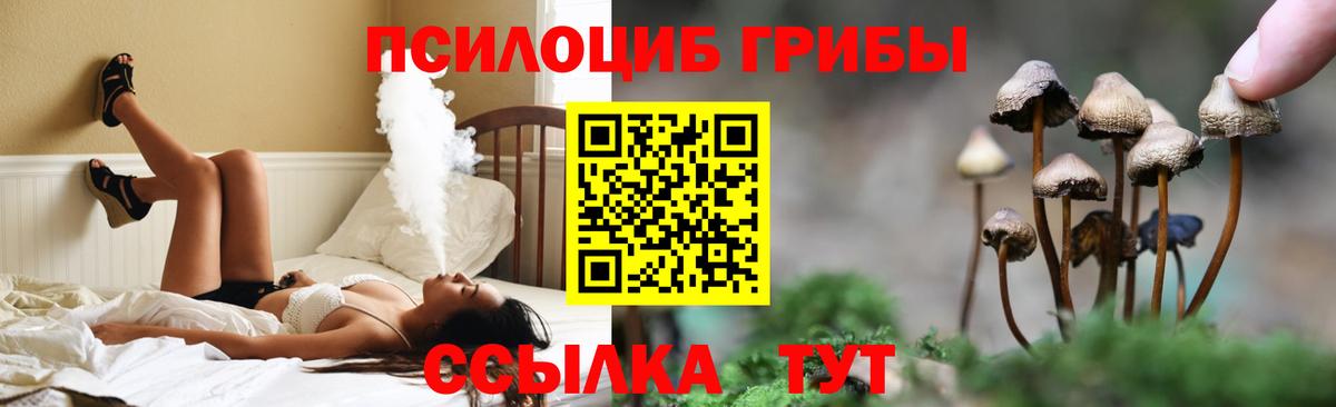 Химки  Галлюциногенные грибы GOLDEN TEACHER  Вход с VPN 