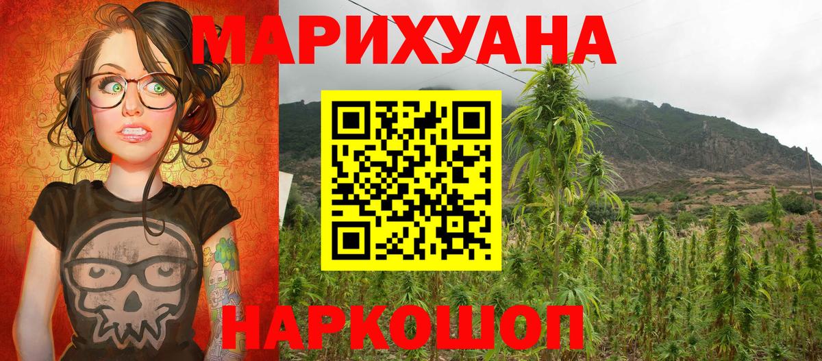 Бошки марихуана план  Вход с VPN  Химки  Марихуана MAZAR  МАРИХУАНА OG Kush 